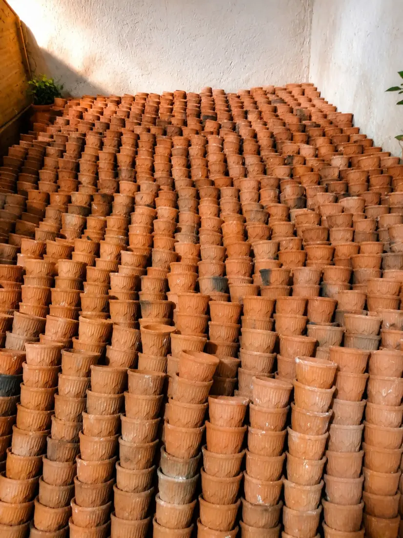 Rows of handmade clay kulhads