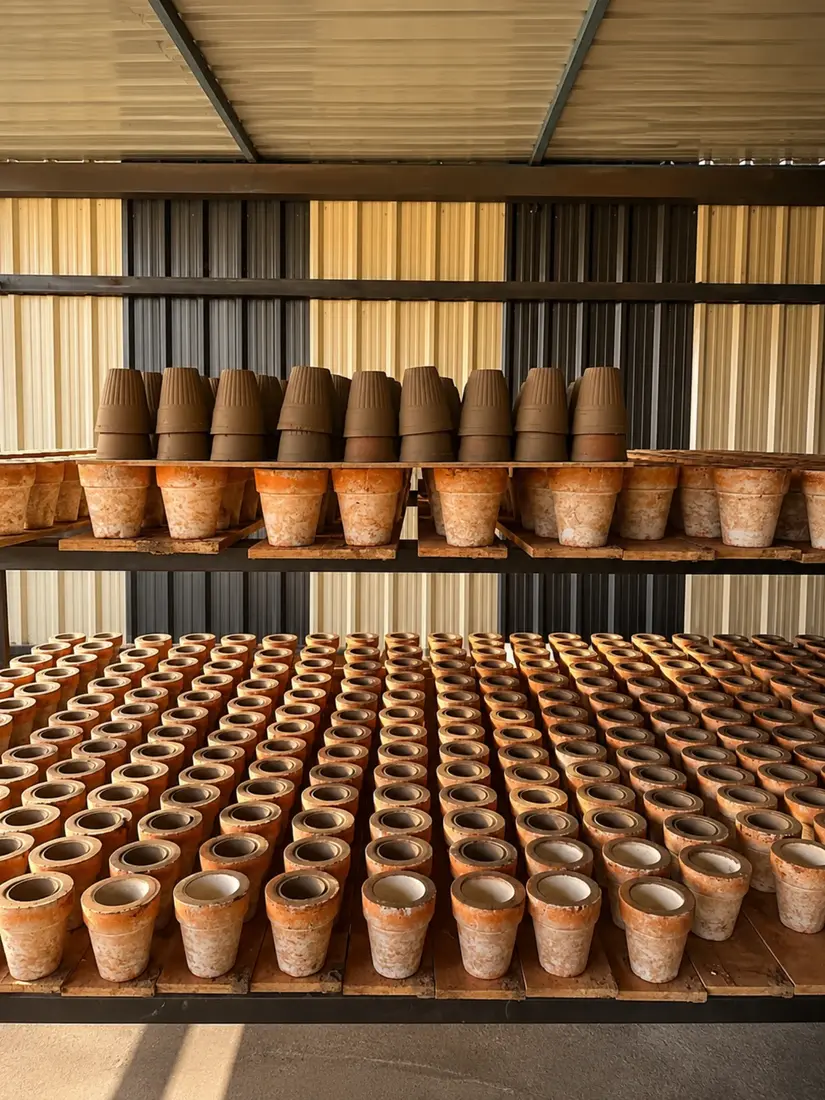 Handcrafted kulhads ready for sale